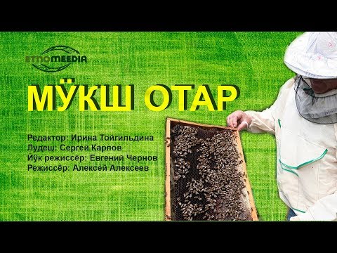 Видео: МӰКШ ОТАР