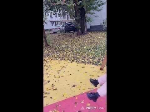 Видео: Прямая трансляция Алёнка