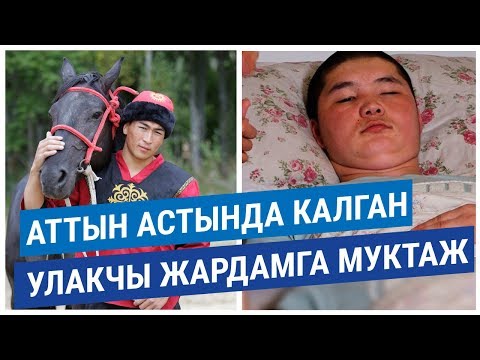 Видео: Көк бөрүдө аттын астында калган улакчы жардамга муктаж