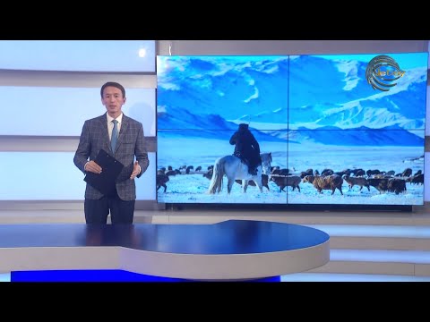 Видео: АПТА / ҚАЗ / 15.11.2025