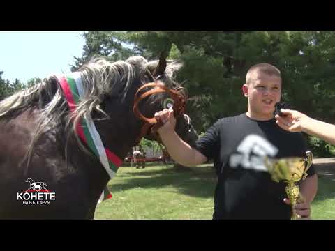 Видео: Конете на България: Първото уестърн състезание по рейнинг и каубой екстрийм в България