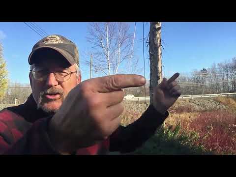 Видео: Мёртвый вяз, линии электропередач, верёвки... что может пойти не так? #бензопила #деревья #неудач...