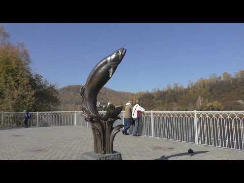 Видео: Как стать радиолюбителем .часть первая