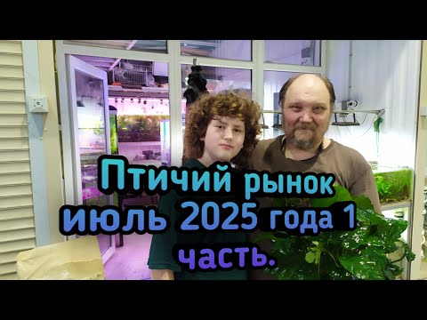 Видео: Птичий рынок июль 2025 года 1 часть.