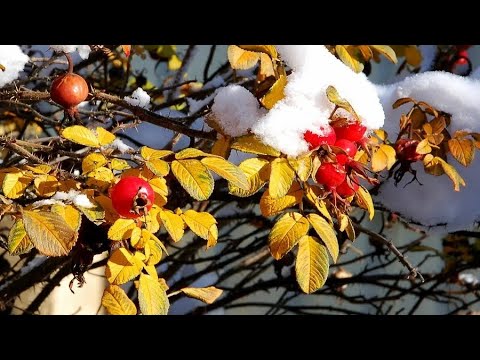 Видео: ОСНОВНЫЕ СФЕРЫ ВАШЕЙ ЖИЗНИ💥КАКОЙ УРОК ПРОХОДИТЕ?💥💥💥