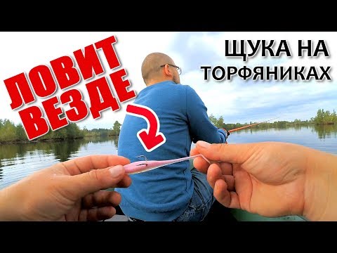 Видео: На эту приманку клюёт везде! Рыбалка на торфяниках с другом! Ловля щуки!