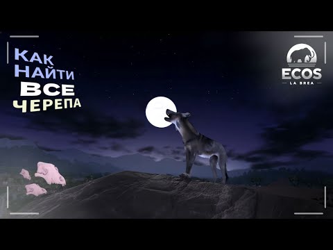 Видео: Как найти ВСЕ ЧЕРЕПА🎃 - Ecos: La Brea | Halloween 2025