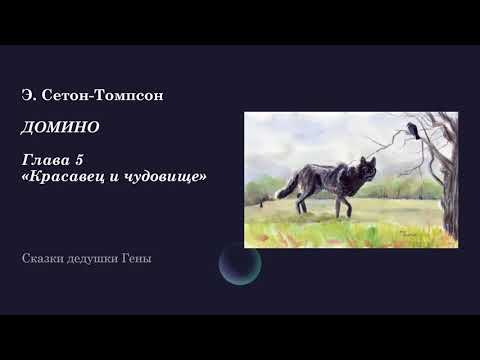 Видео: ДОМИНО. История одного черно-бурого лиса. Глава 5. Красавец и чудовище.