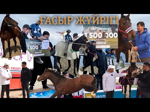 Видео: Ғасыр жүйрігі!
