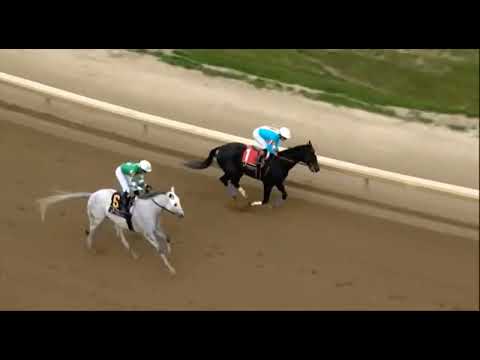 Видео: R7 Horseshoe Индианаполис