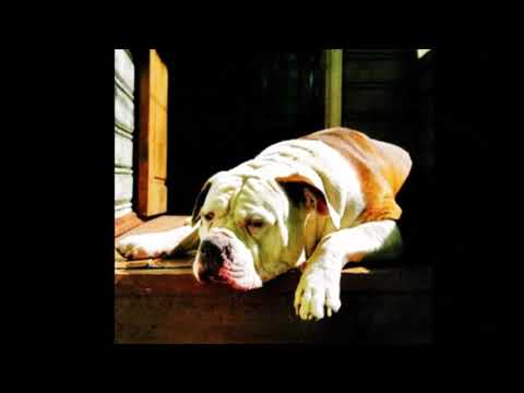 Видео: Александр Розенбаум. Смерть лучшего друга - собаки. Зарисовка Аркадия Чикина