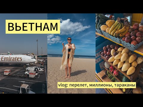 Видео: ВЬЕТНАМ. ДАНАНГ - Стала миллионершей, а живу с тараканами. Пляжи, заведения, POP MART, рыбный рынок
