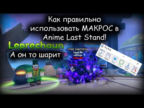Видео: Как правильно использовать МАКРОС в Anime Last Stand!