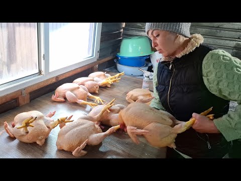 Видео: Шок-Бройлер 45 днів жива вага та тушки‼️Скубаєм в ручну,розбираєм‼️Віддам продам Конуси для забоя‼️