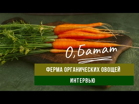 Видео: О, Батат | Интервью с создателями единственной фермы органического земледелия в Ростовской области