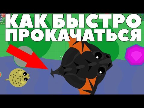 Видео: КАК ОЧЕНЬ БЫСТРО ПРОКАЧАТЬСЯ В МОПИО СХОДКА БРАТВЫ MOPE.IO