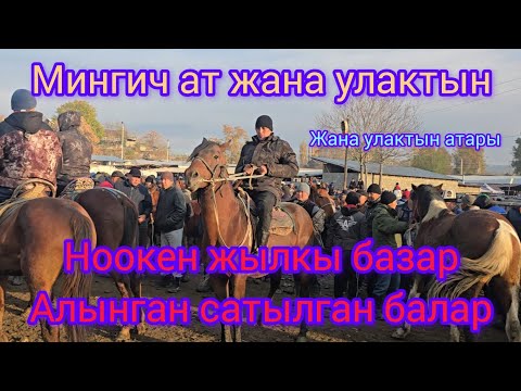 Видео: 19 ноября жылкы базар