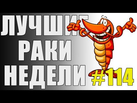 Видео: ЛРН выпуск №114. ДЕМБЕЛЬСКИЙ АККОРД СИСТЕМЫ АВТОБАНА и БЕЗЗАЩИТНЫЙ ЗАЩИТНИК  [Лучшие Раки Недели]