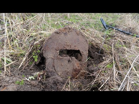 Видео: Где копать лучше?Вдоль бескрайних полей или на заброшенной деревне?