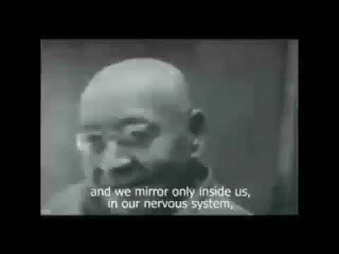 Видео: Общая семантика. Альфред Коржибски. Мир - это не иллюзия, а абстракция.