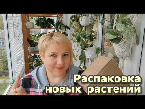 Видео: Распаковка посылки с новыми растениями