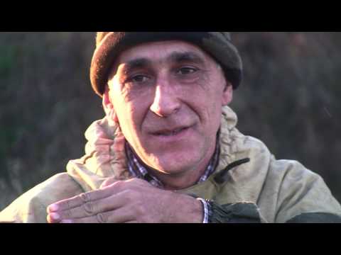 Видео: Охотничьи истории. Сезон 3. Охота с таксами