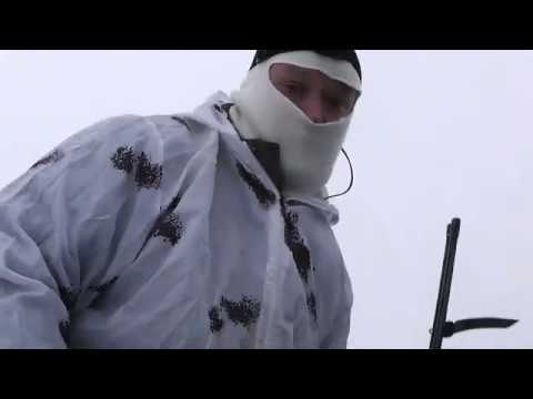 Видео: Охота на лису с манком.(Мр-94 "Север"-5,6*39/20*76)