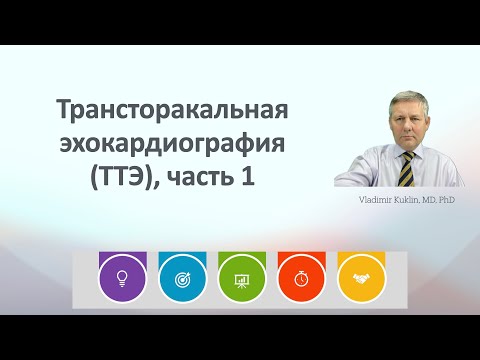 Видео: Трансторакальная эхокардиография (TTЭ), часть 1