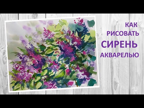 Видео: Как рисовать сирень акварелью, подробный мастер-класс