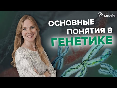 Видео: Основы генетики. Что такое ген, аллельные гены, генотип, фенотип, кариотип? | Биология | TutorOnline