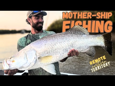 Видео: Мы сами стали капитанами миссии «Материнская миссия» на отдаленной реке Мойл