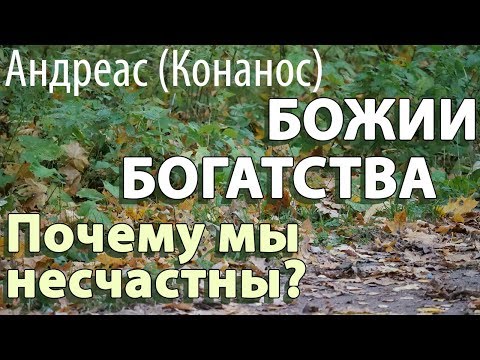 Видео: Божии Богатства. Почему мы несчастны? Андреас (Конанос)