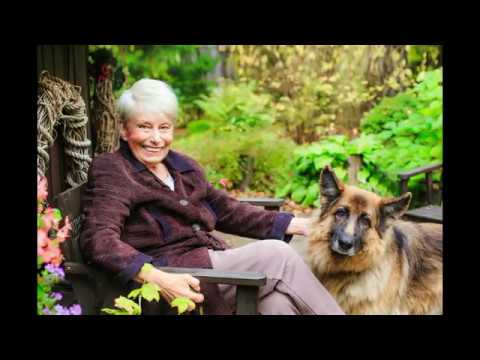 Видео: Прогулка по старому саду