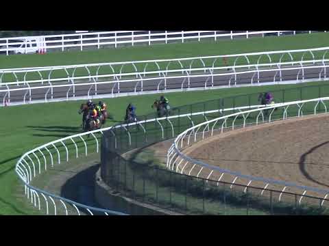 Видео: 2025 10 29 Морнингтон Jumpout 04