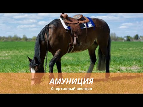 Видео: Спортивный вестерн. Амуниция. Седло вестерн.