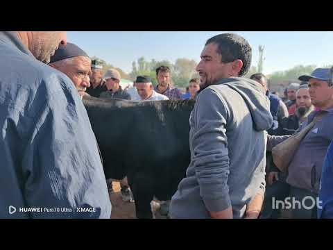 Видео: гов мол бозори кумсангир