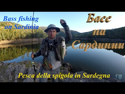 Видео: Ловля басса на Сардинии. Вass fishing on Sardinia. Pesca della spigola in Sardegna