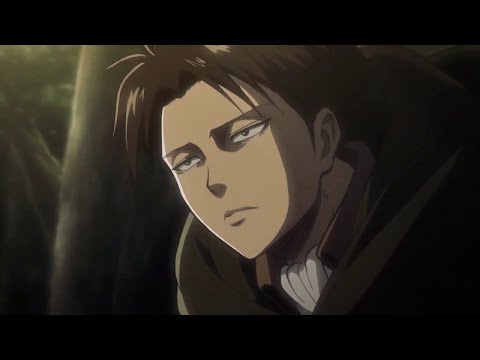 Видео: Леви Аккерман-Младшый лейтенант