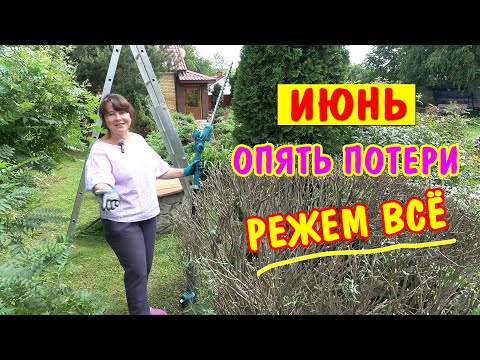 Видео: ОПЯТЬ ПОТЕРИ! Это не год, а кошмар... Опять режем!