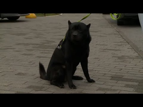 Видео: Актуальное интервью с Ольгой Сысоевой