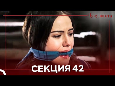 Видео: Чучулигата Cekция 42 (Дублирано на български)
