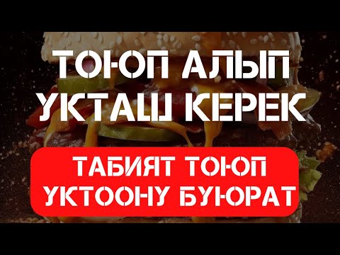 Видео: ТОЮП АЛЫП УКТОО ӨТӨ ПАЙДАЛУУ!