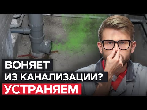 Видео: Почему ВОНЯЕТ в ВАННОЙ? / Как УБРАТЬ неприятный запах из канализации?