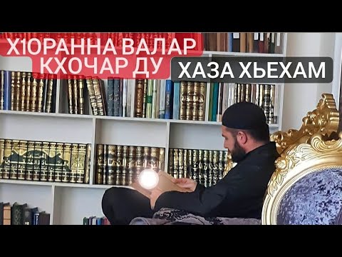 Видео: Хьехам (Велч  кашчохь хир дег)