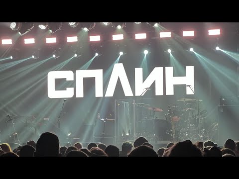 Видео: Сплин - «Феллини» - концерт в Берлине 8 октября 2025