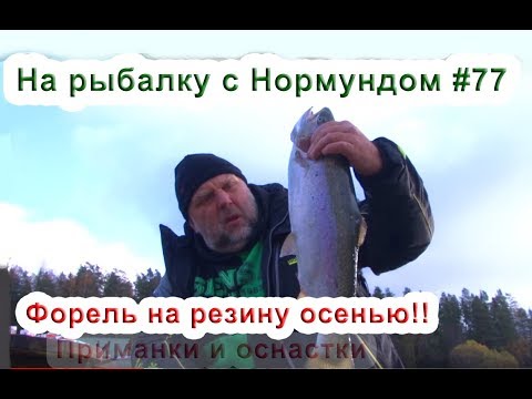 Видео: Форель на резину осенью. На рыбалку с Нормундом #77