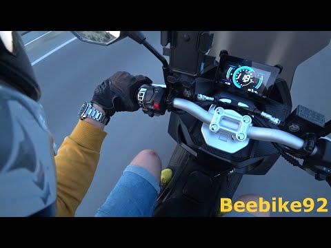 Видео: обзор Osaka Leopard
