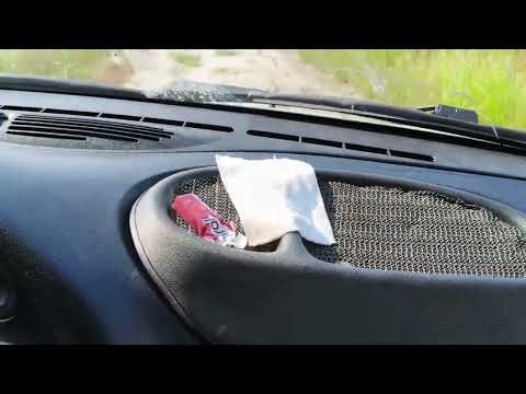 Видео: Как я провел лето 2025😁 #metaldetecting #metaldetecting #находкисметаллоискателем #копвпосадке #коп 