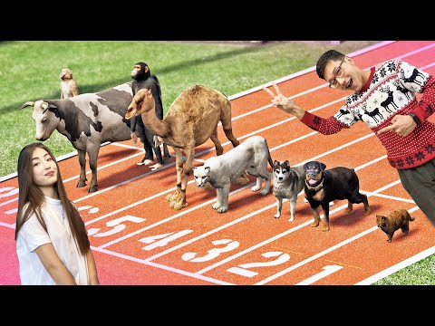 Видео: Жануарлар шайқасы 🐵🐯(GTA5)