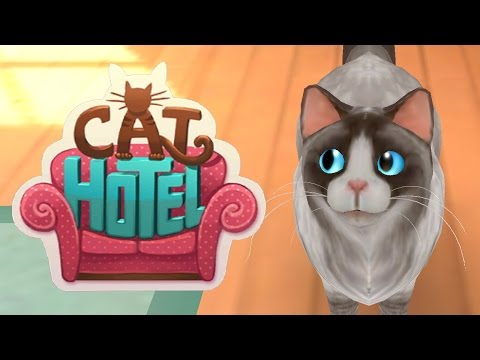 Видео: Игра CatHotel - отель для кошек